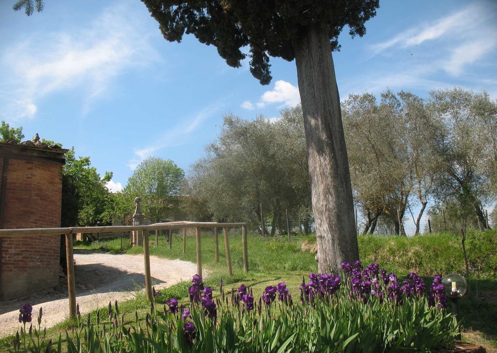 Agriturismo La Torretta Costalpino Eksteriør billede