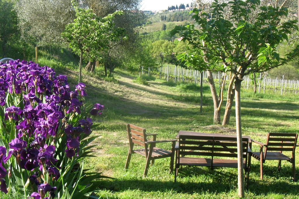 Agriturismo La Torretta Costalpino Eksteriør billede