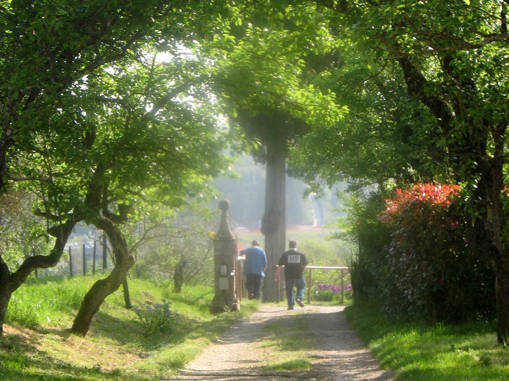 Agriturismo La Torretta Costalpino Eksteriør billede