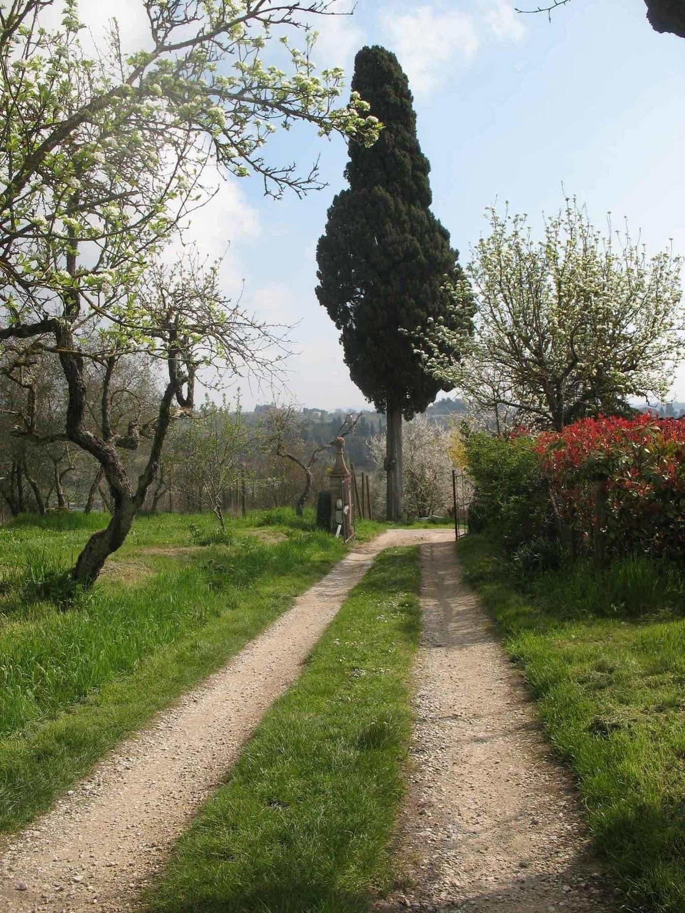 Agriturismo La Torretta Costalpino Eksteriør billede