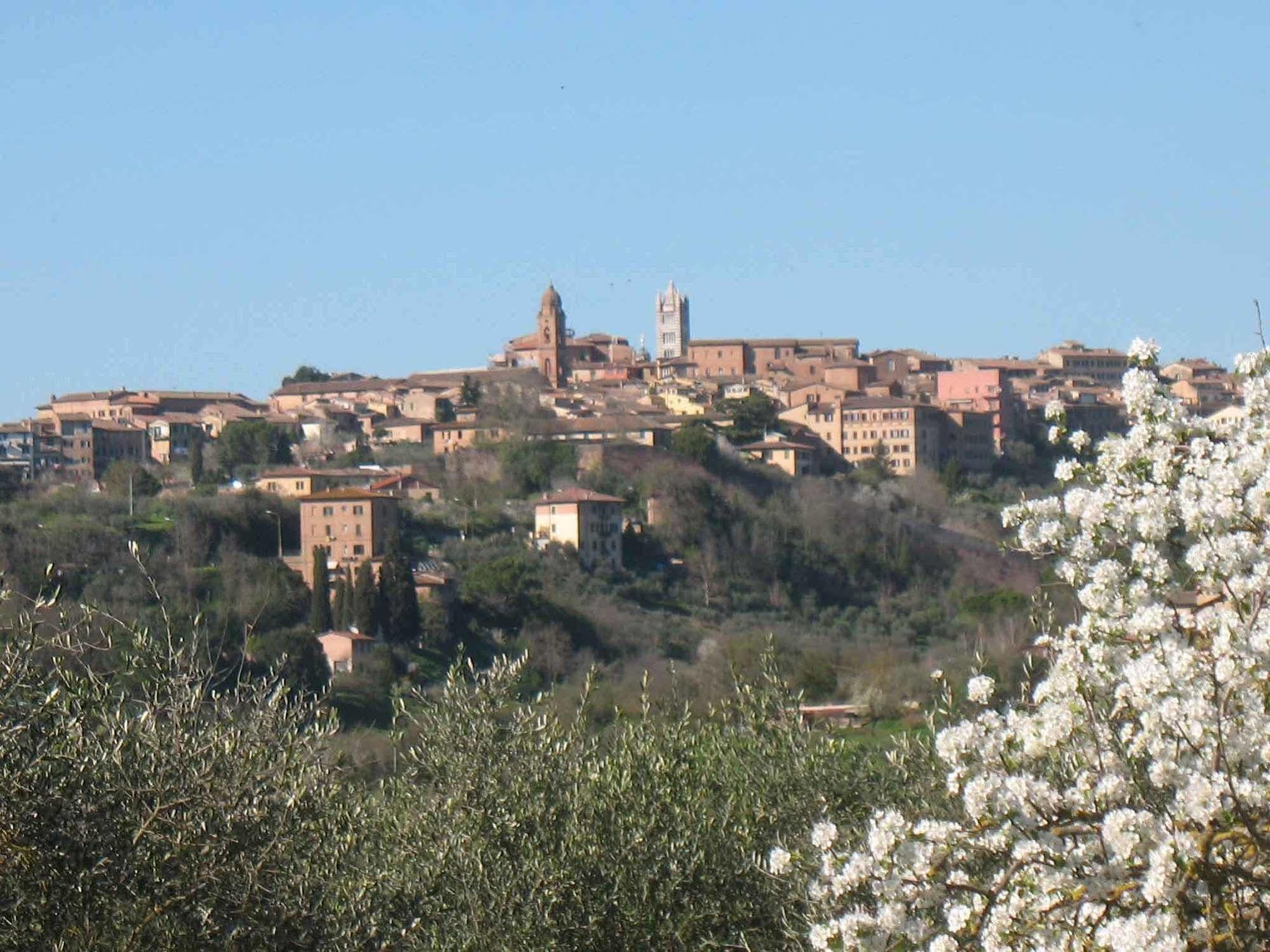 Agriturismo La Torretta Costalpino Eksteriør billede