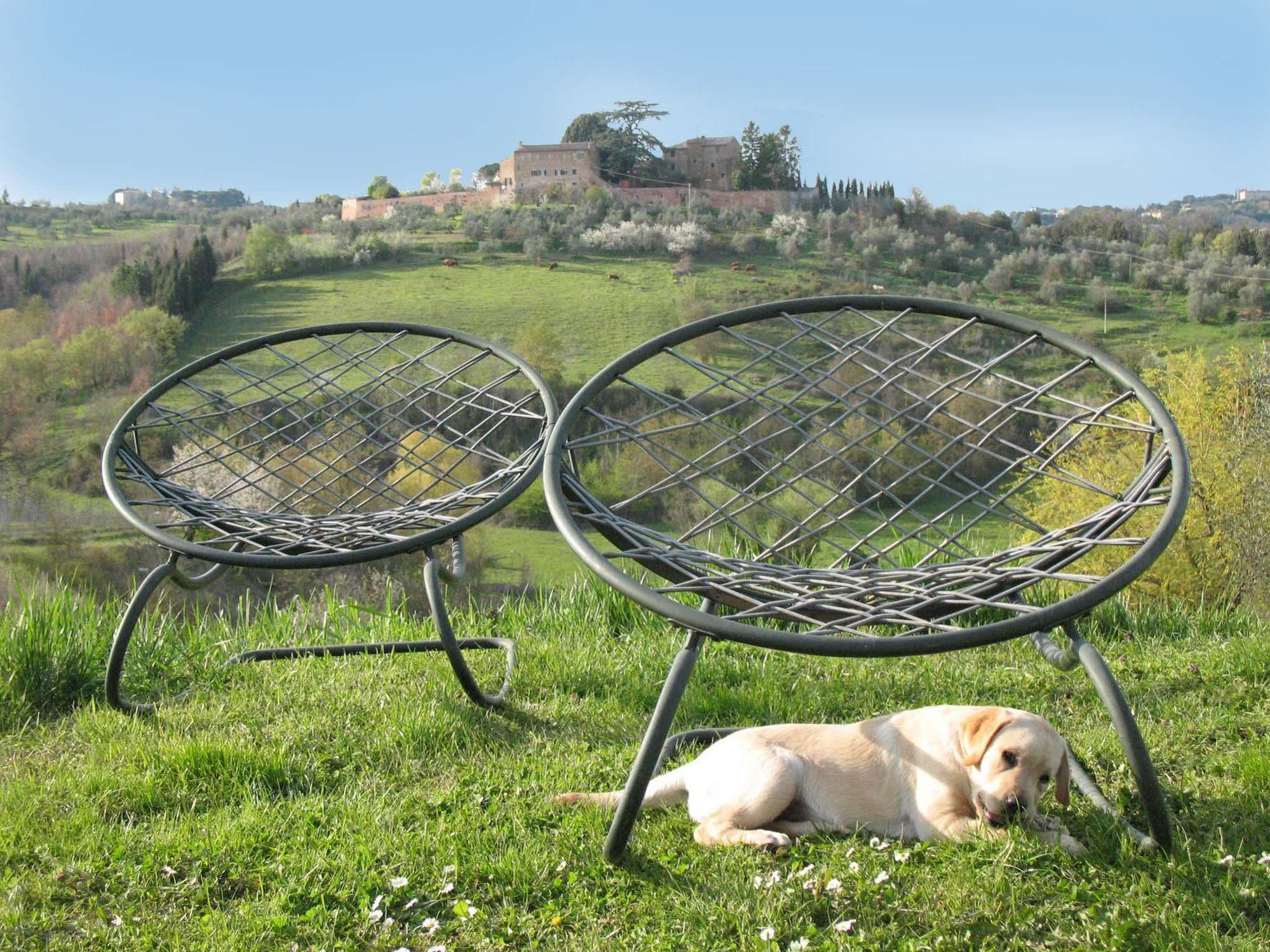 Agriturismo La Torretta Costalpino Eksteriør billede